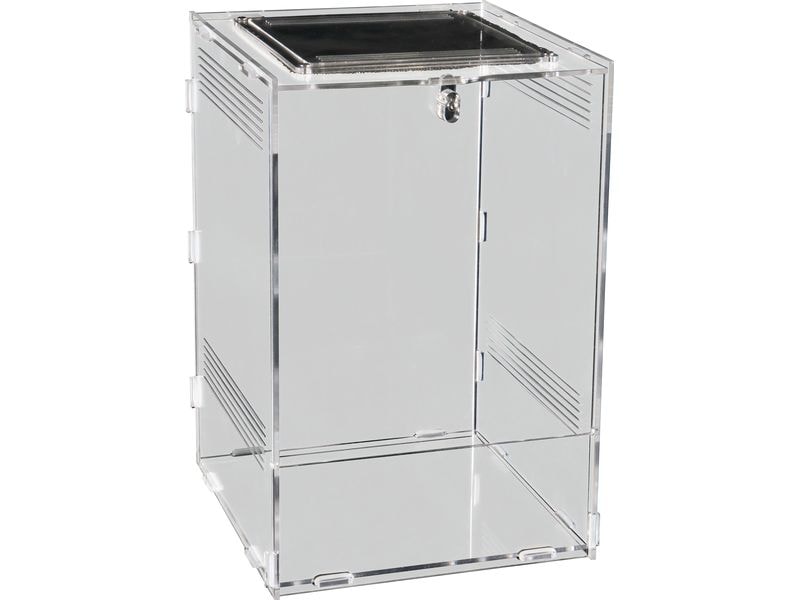 Repto Terrarium Plexi, 20 x 19 x 29 cm Terrarium für kleinere Terrarientiere