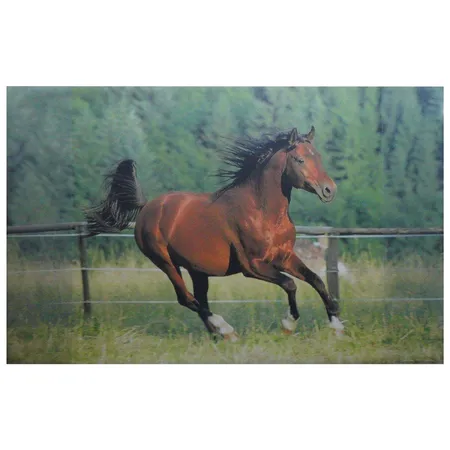 Loer & Schäfer Schreibtischunterlage mit Pferdemotiv 68 x 44 cm