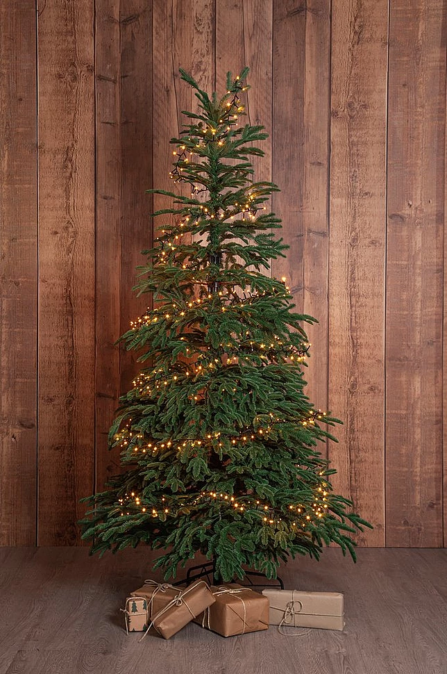 EDANE juletre naturtro utendørs høyde 210 cm