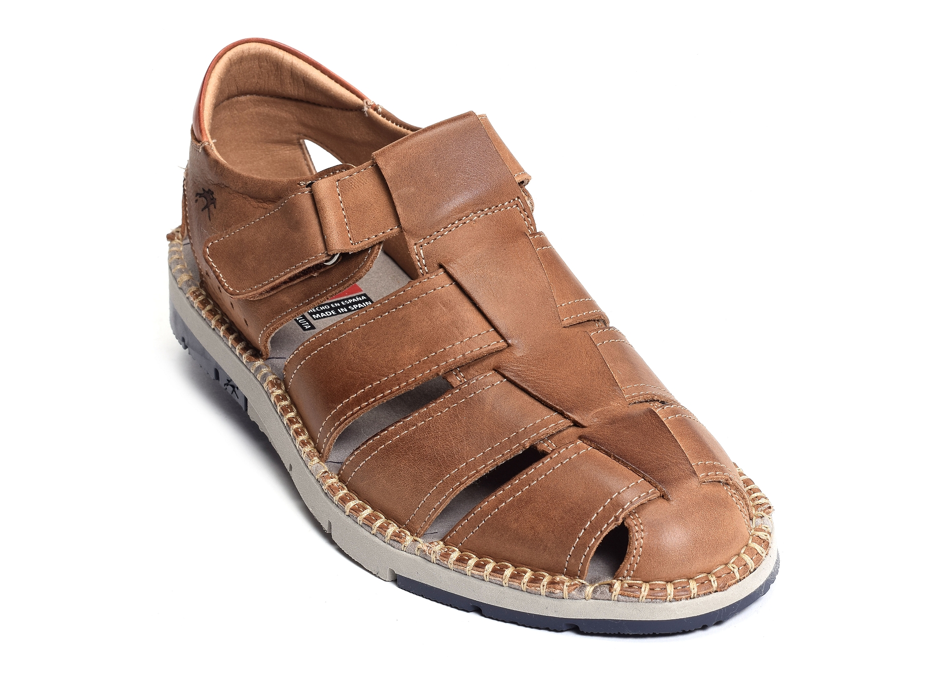 F1167 camel