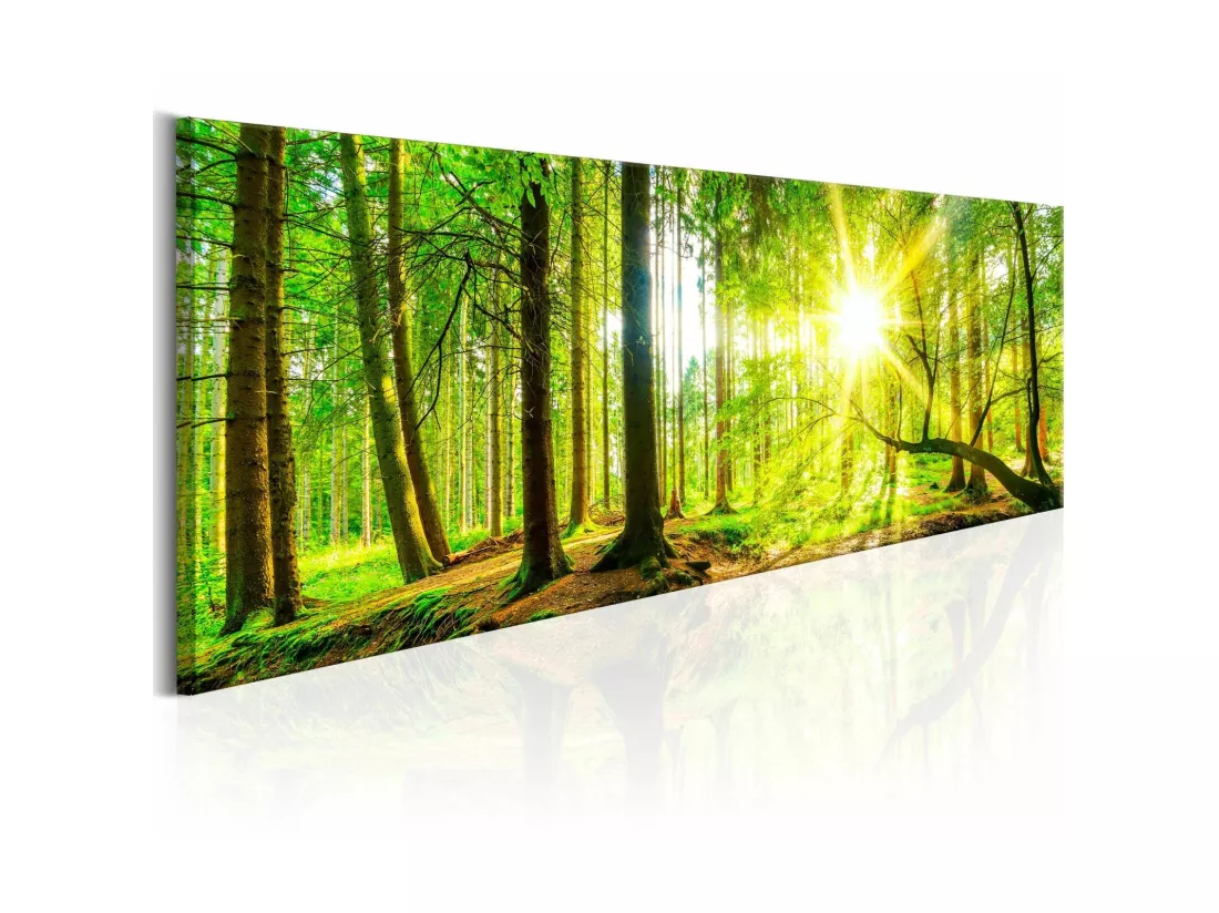 Tableau arbres majestueux - 135 x 45 cm