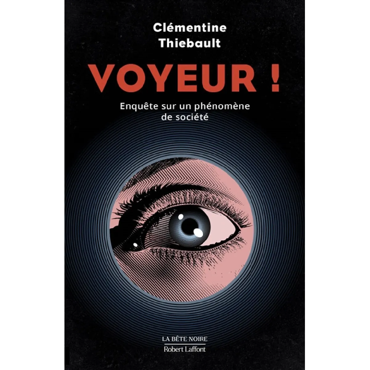 Voyeur ! : enquête sur un phénomène de société · Occasion