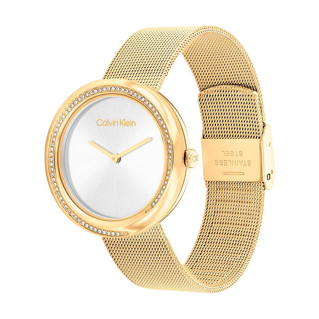 Montre Calvin Klein Twist Argenté