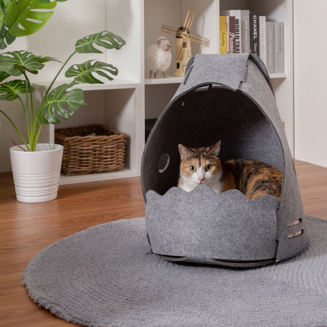 Cama para Gatos, Casinha para Gatos | Neko Shark | MYZOO