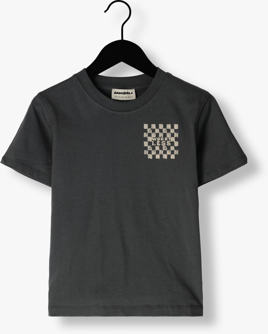 AMMEHOELA grijze ammehoela t-shirt am.zoe.63
