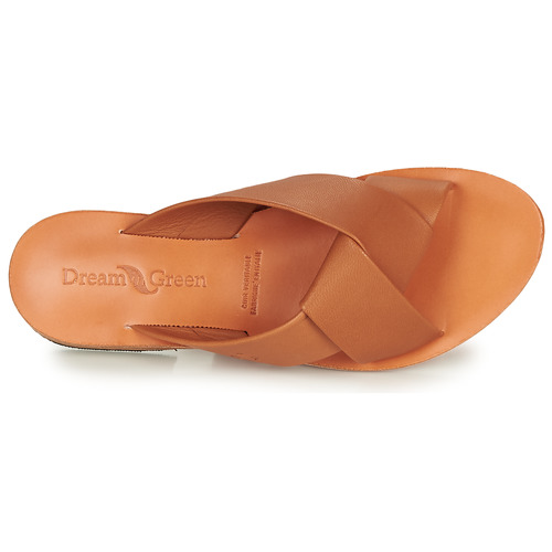 Dream in Green - MARNITO Camel