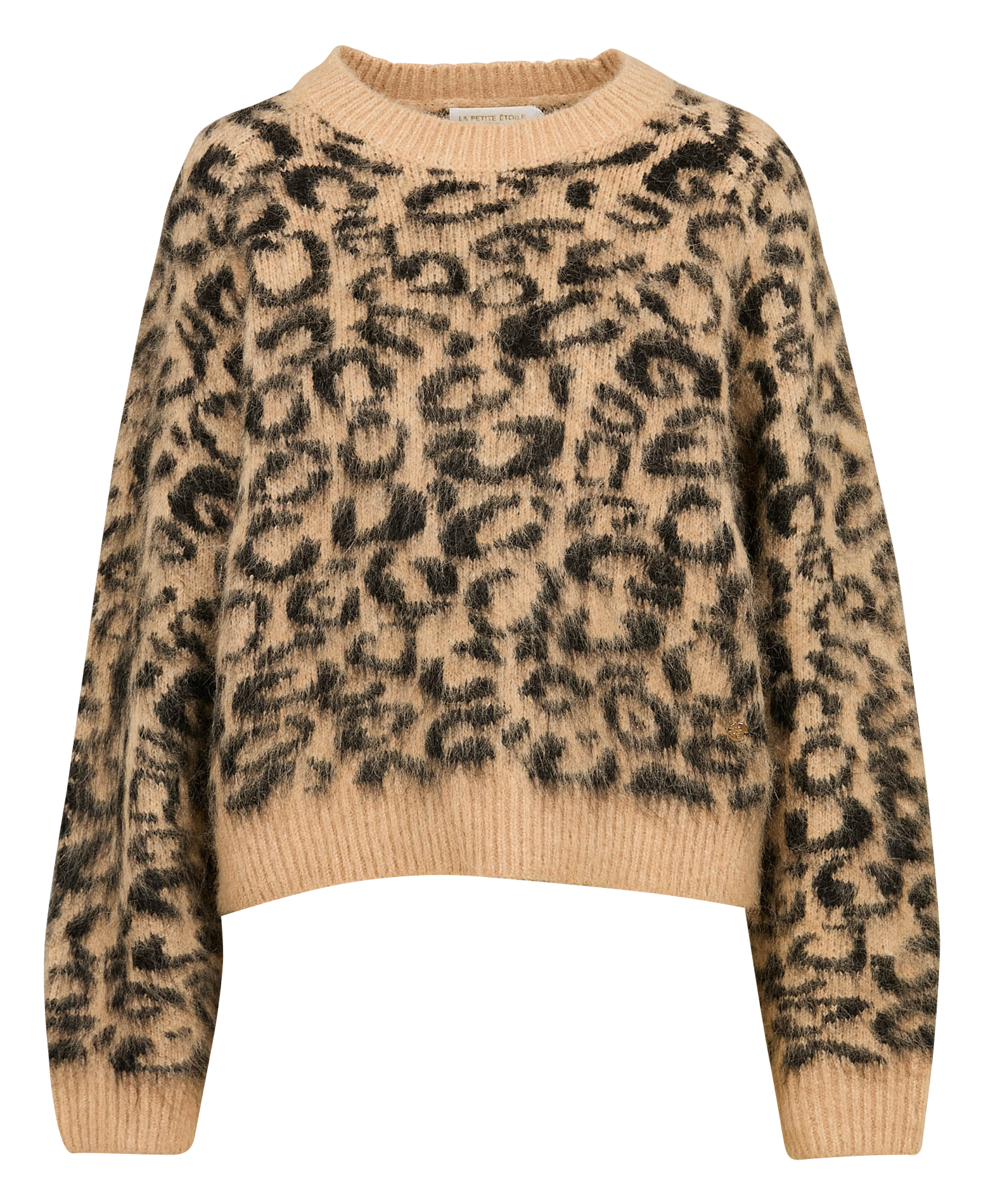 MAY - Pull droit imprimé léopard | Multicolore