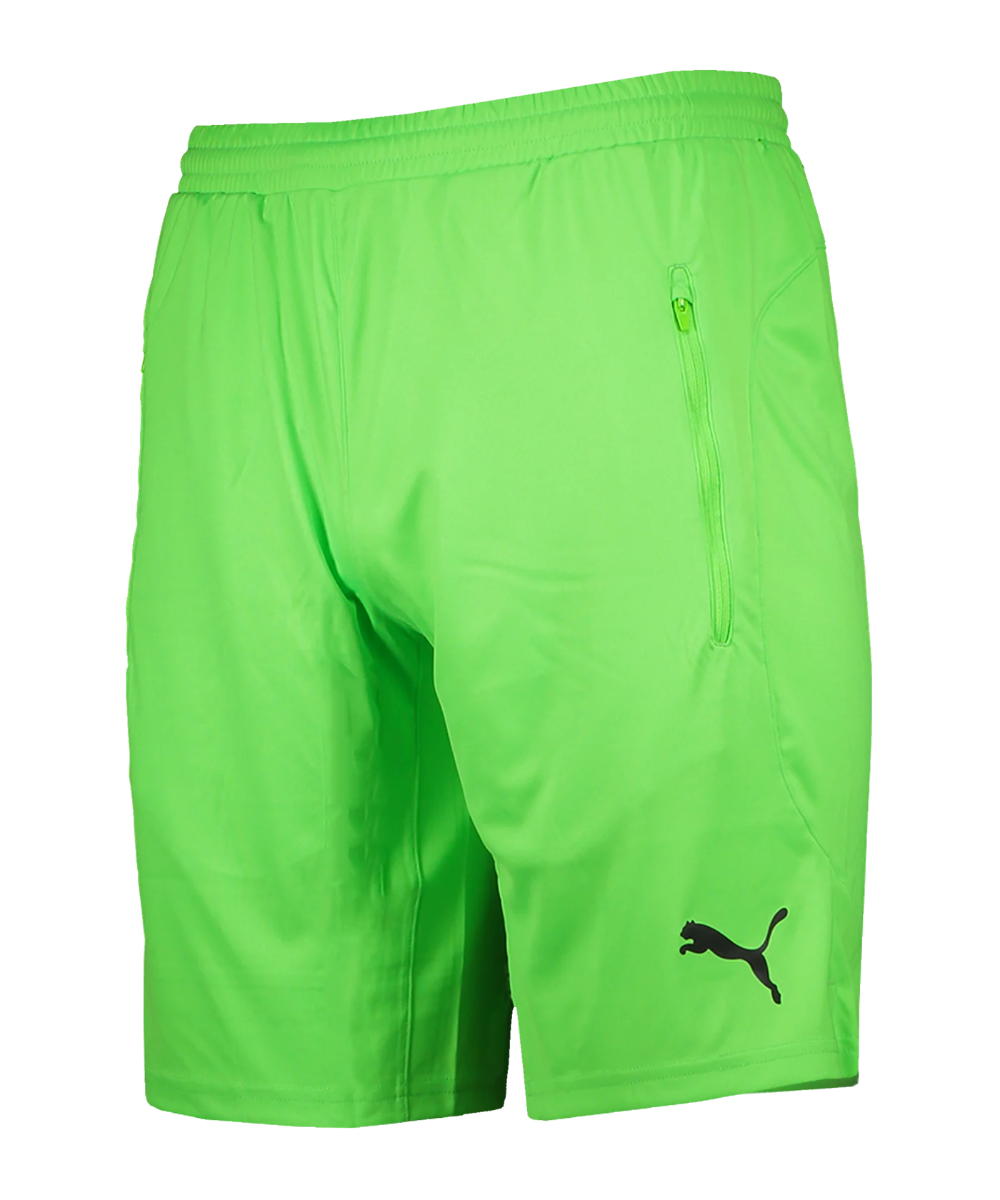 PUMA Schiedsrichter Short Grün F02
