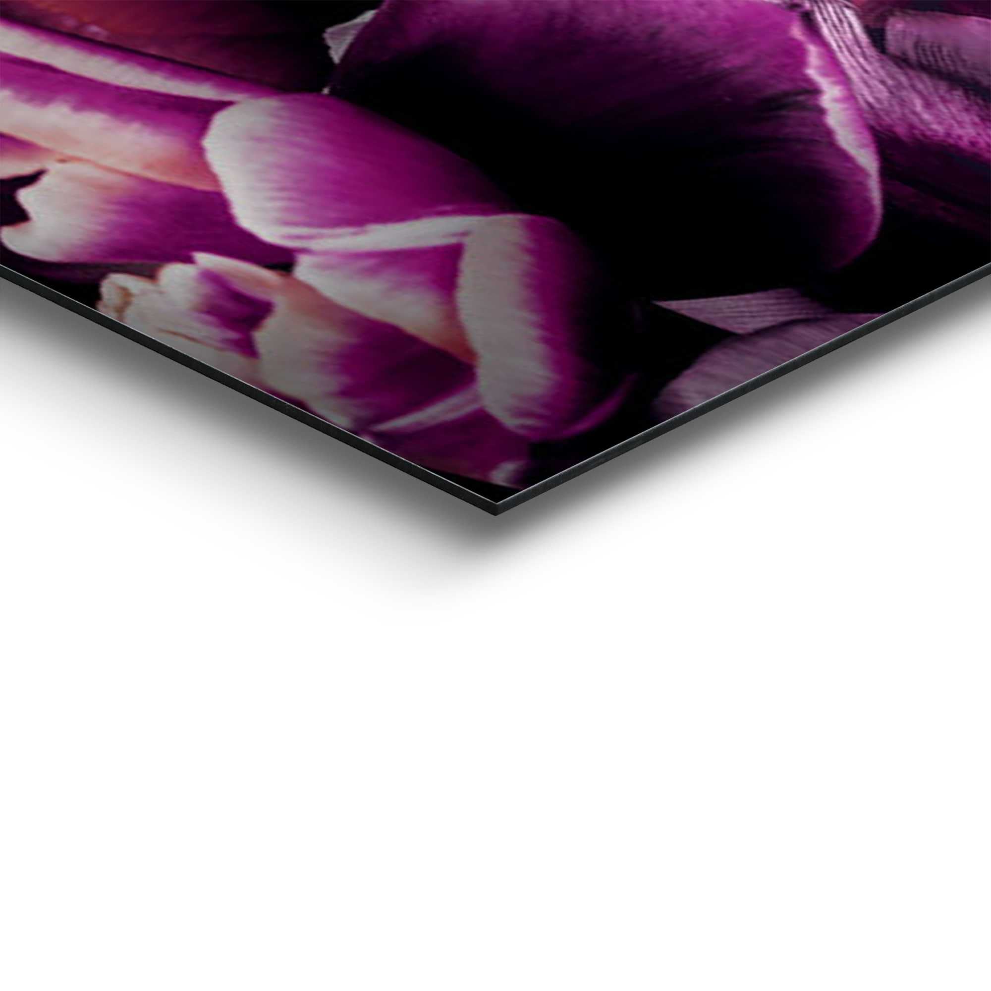 Reinders! Deco-Panel »Flower Cat«