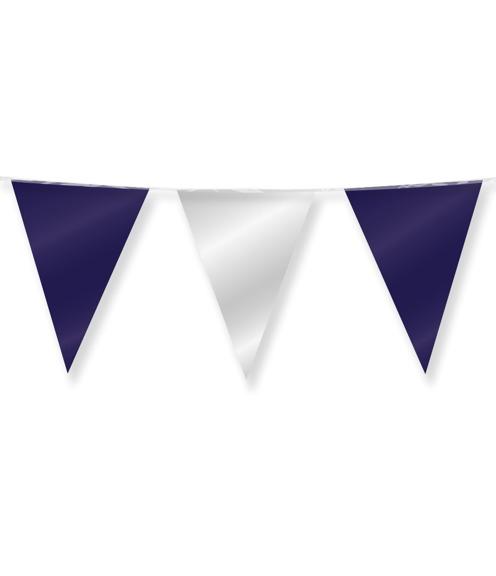 Blauw Zilveren Slinger Metallic 10m