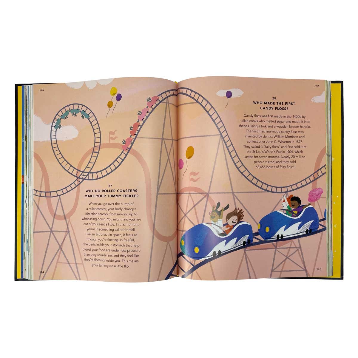 Everything Under the Sun (Hardback)