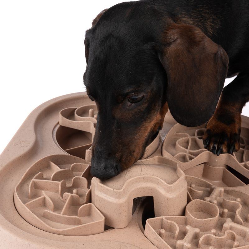 Jeu d'intelligence TIAKI Slow Feed Puzzle