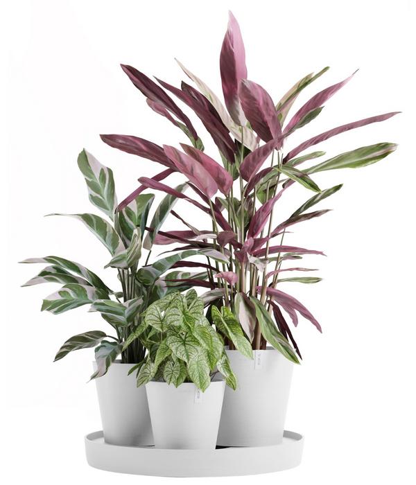 Ecopots Kunststoff-Topf-Set Dubai mit