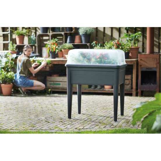 Serre de culture pour potager 'Green Basics' - L. 74,8 x l. 36,6 cm