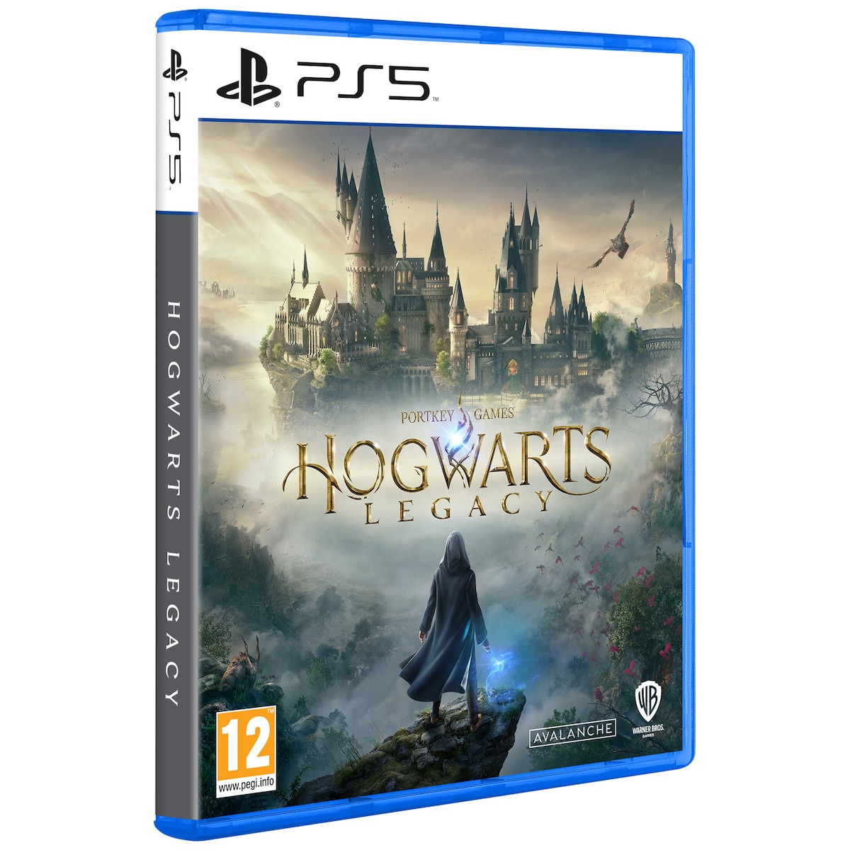 Hogwarts Legacy (PS5)