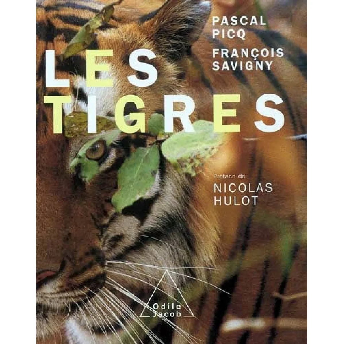 Les tigres · Occasion