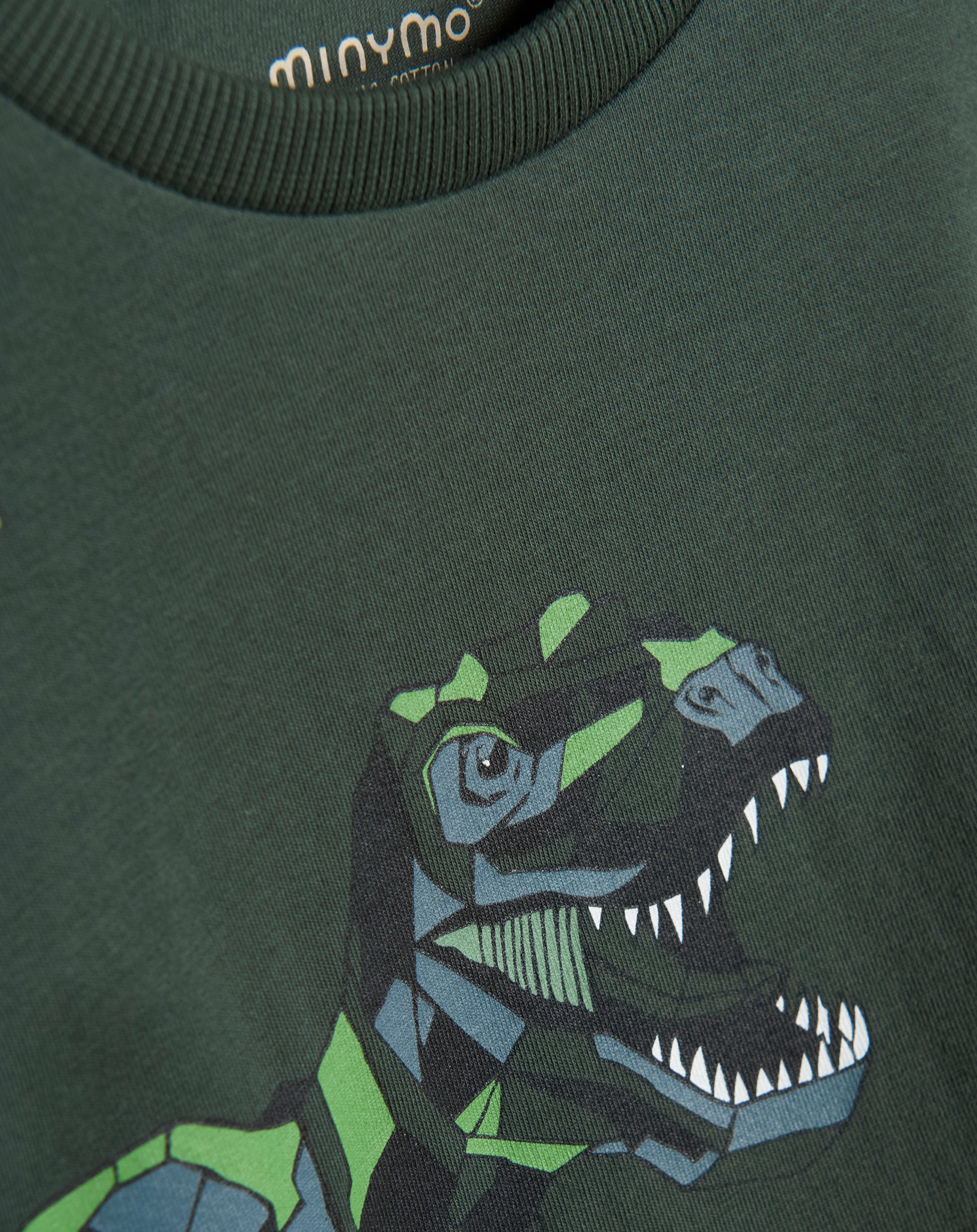 Langarmshirt T-REX in dunkelgrün