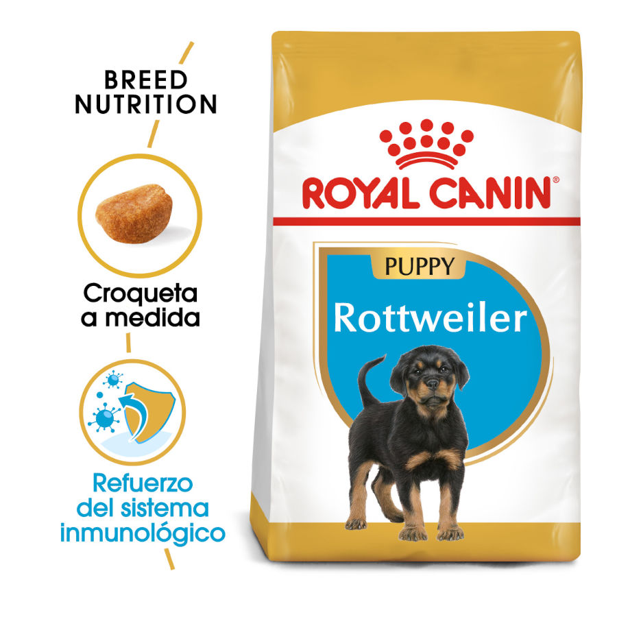 Ração Royal Canin para filhotes de Rottweiler