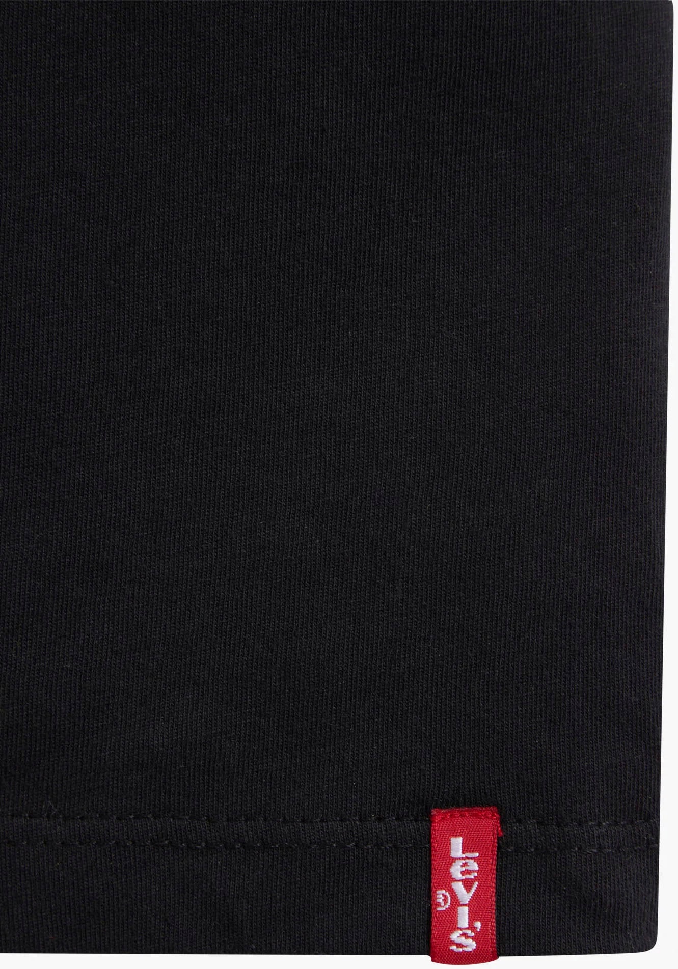 Levi's® Plus Rundhalsshirt »BIG 2 PACK TEE«, 2er-Packer Packung, unifarben