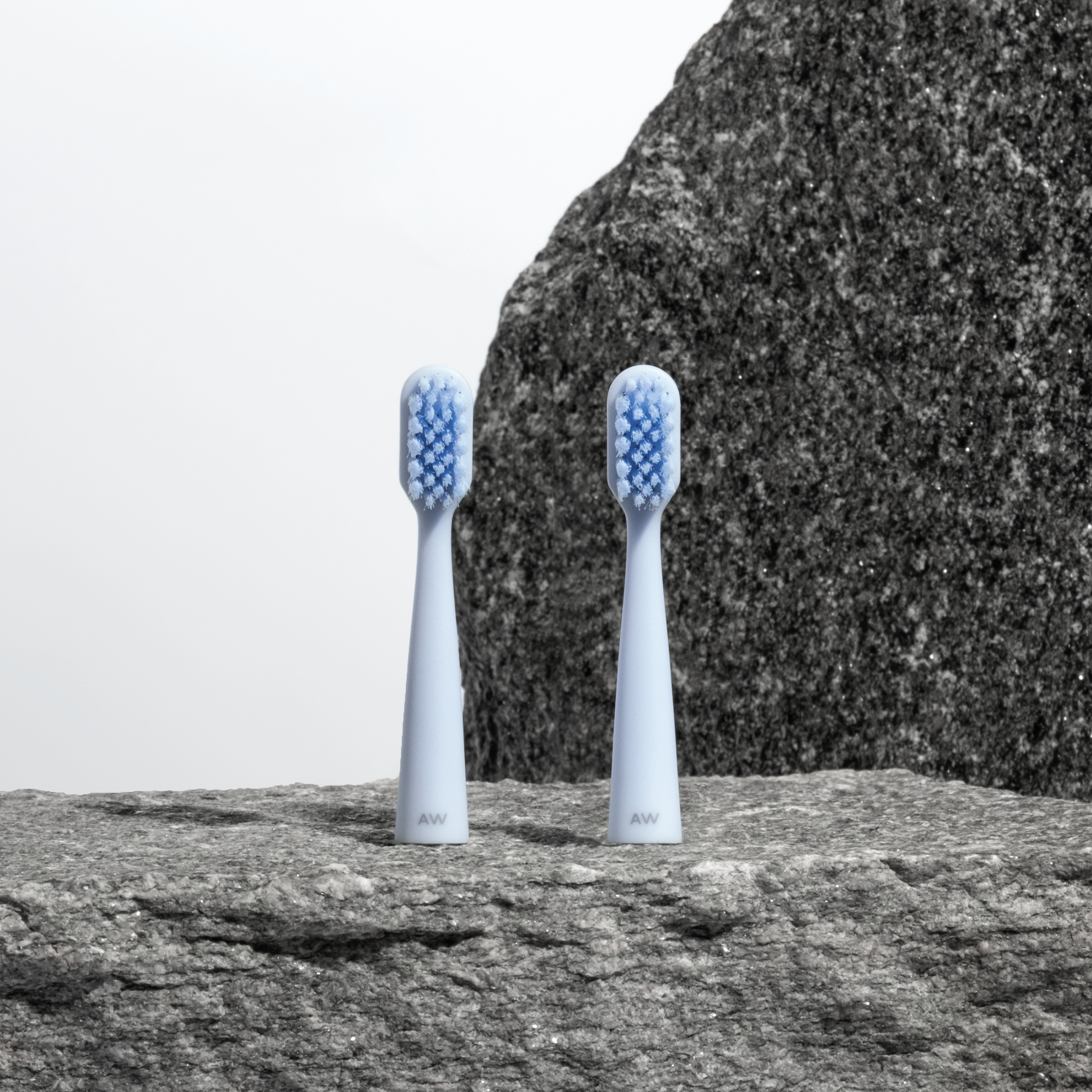 Alpine White Brush Heads Box 2 Stk