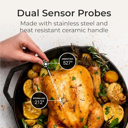 MEATER Block | Thermomètre à Viande Connecté Sans Fil Pour Four, Grill, Cuisine, Barbecue, Fumoir, Rôtissoire avec Connexions Bluetooth et WiFi : Cuisine et Maison