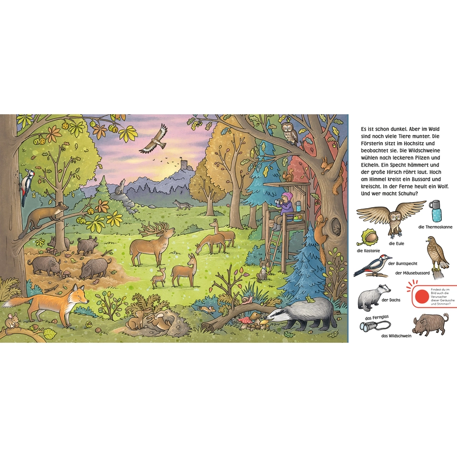 Carlsen Hör mal (Soundbuch): Wimmelbuch: Wald und Wiese