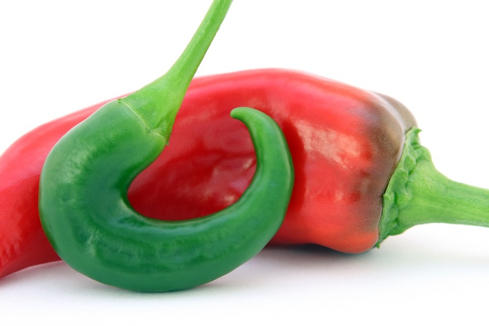 Sachet de graines de piment doux des landes - sachet de 0,5 grammes - petite entreprise française - made in france