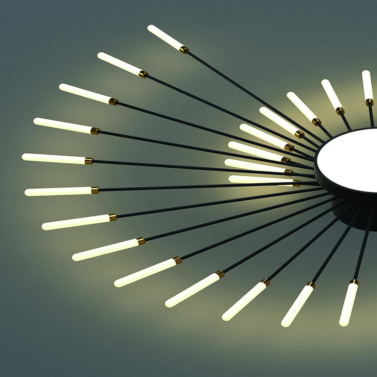 Moderne LED Deckenleuchte Metall Acryl LED Lampen Eingebaute dimmbare Deckenlampe Kreative Spirale Blumenform Design Deckenbeleuchtung Acryl Deckenleuchte Farbwechselbar (Schwarz, 28+1)