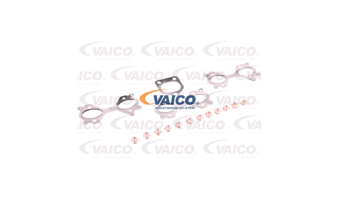 Manifold