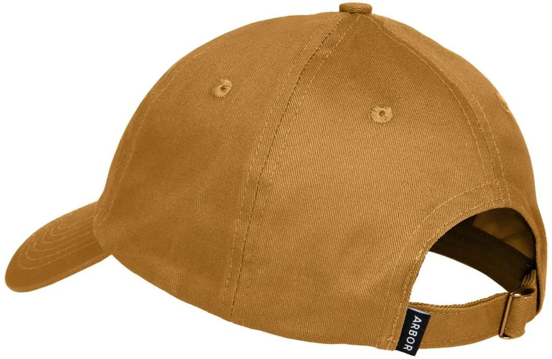 Arbor Surplus Cap | SkatePro