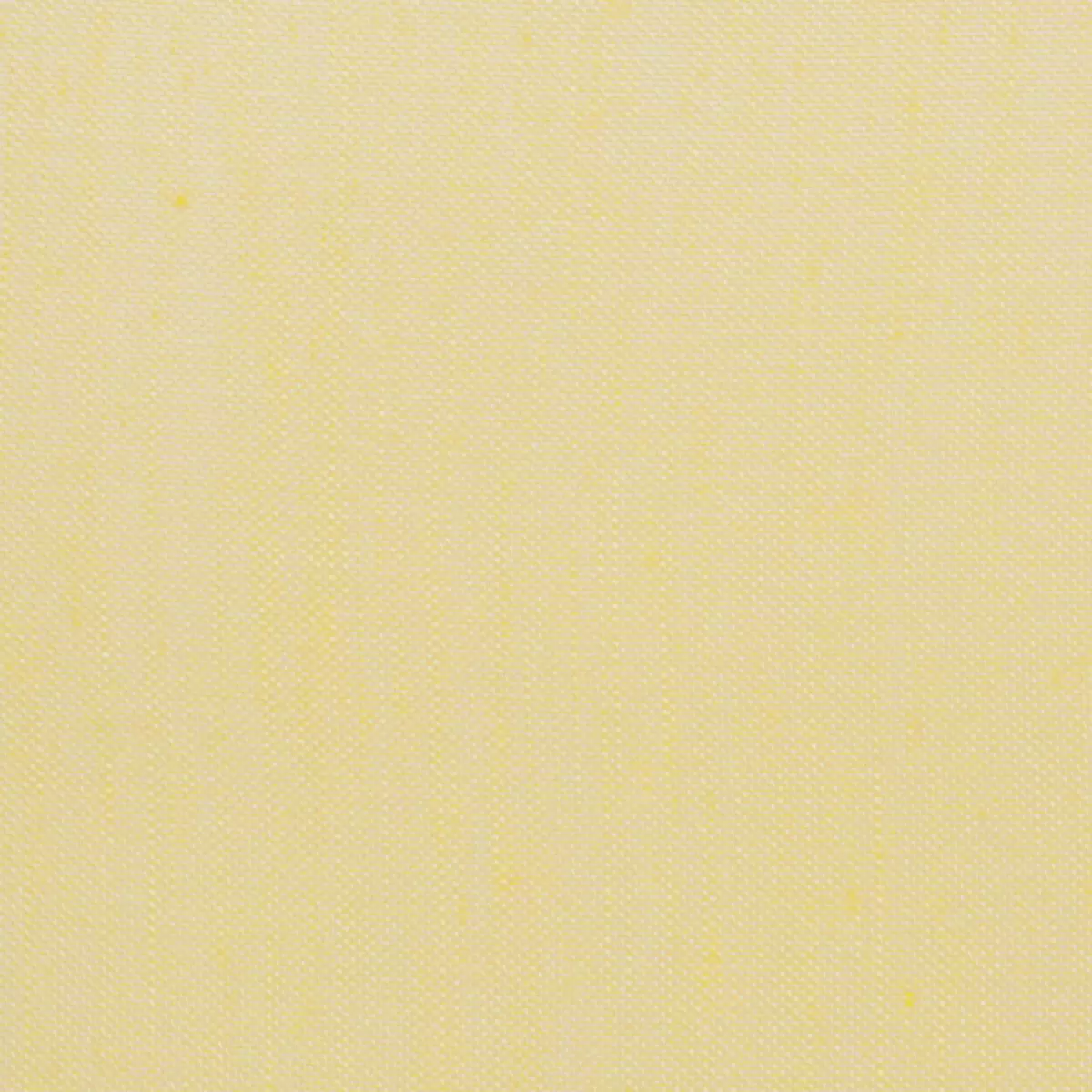 Tagvorhang Mousseline Gold