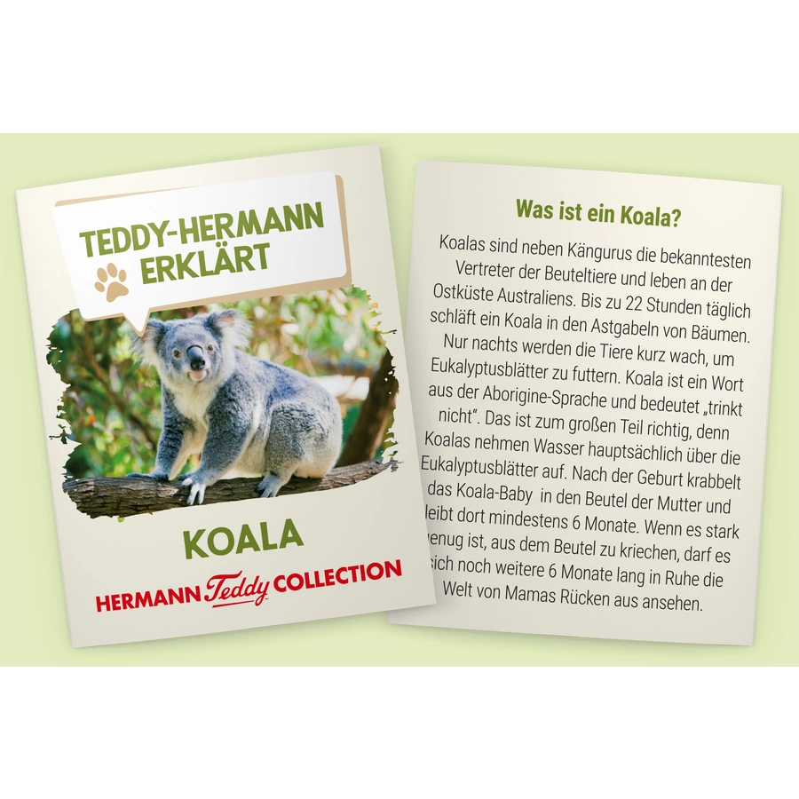 Teddy HERMANN® Koalabär 21 cm
