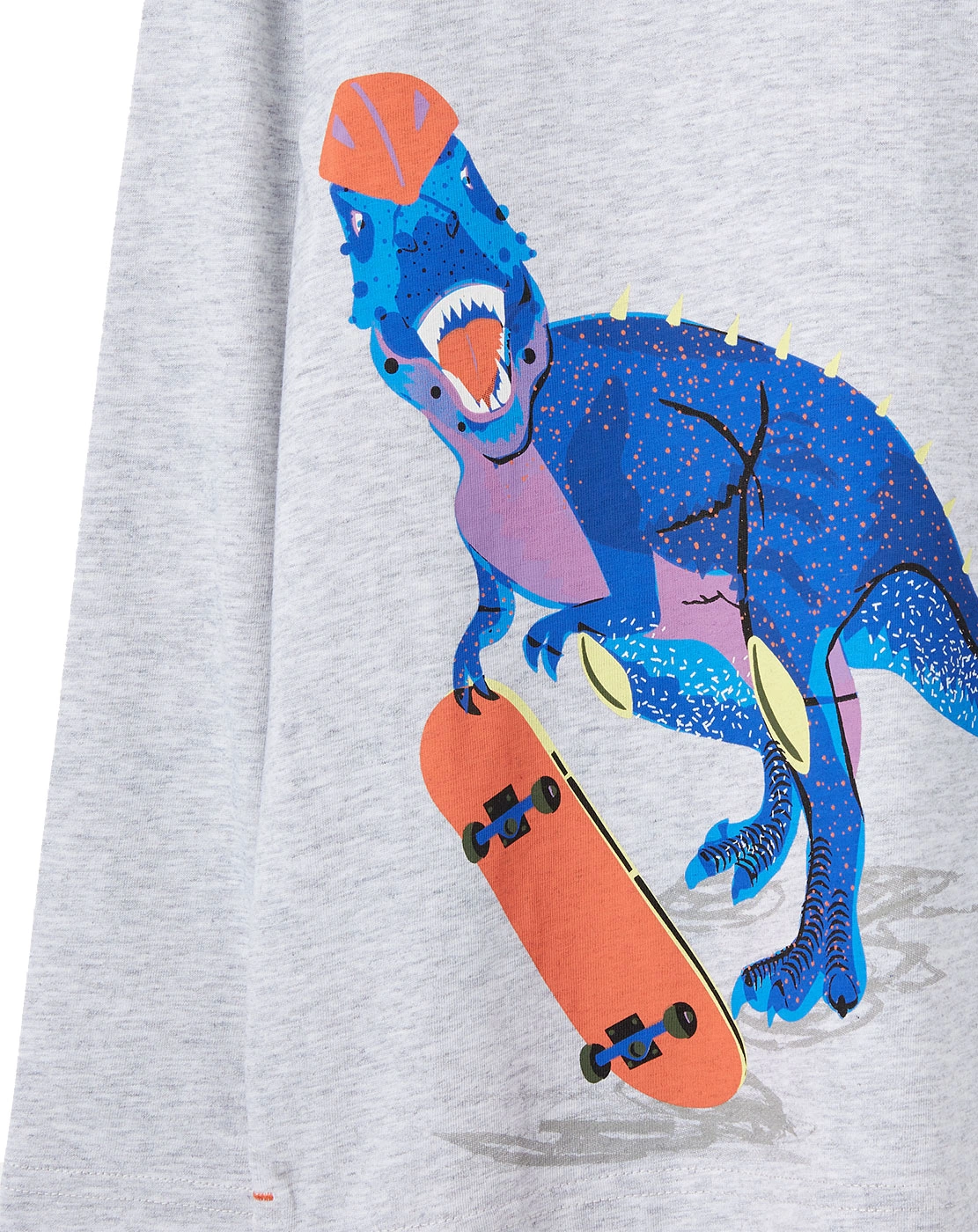 Langarmshirt FINLAY SKATEBOARD in grau