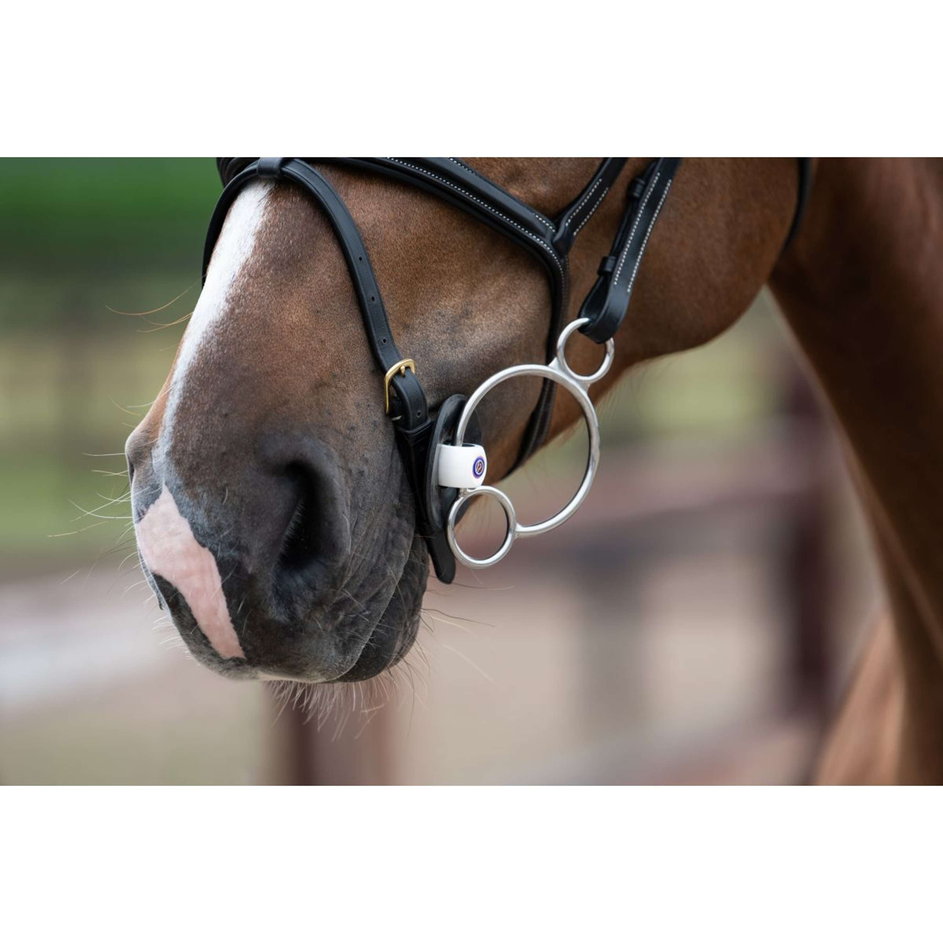 Trust Pessoa Trens Inno Sense 2,5 Ring Port Medium 15mm