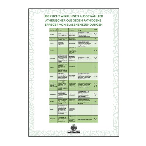 Sunday Natural Products  Blasenentzündung (Zystitis) - Ganzheitlich und natürlich behandeln