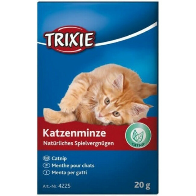 Herbe à chat Catnip revigorant pour chat
