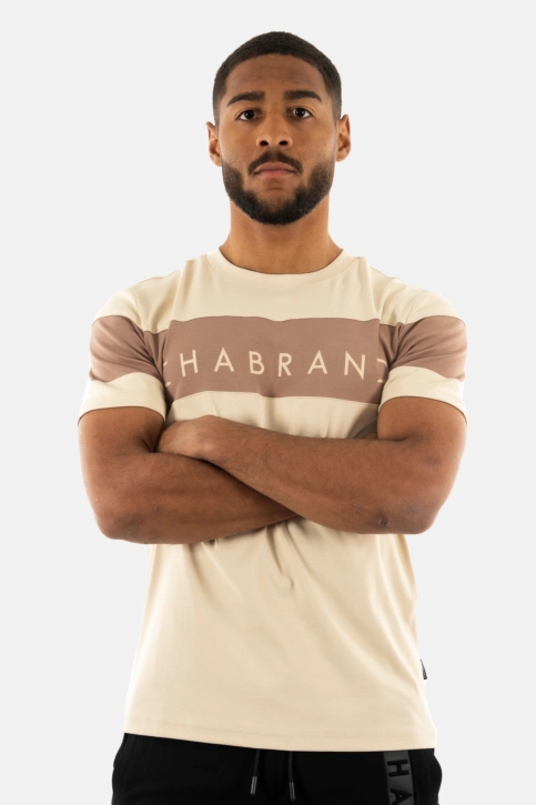 Tee shirt chabrand 60230 402 taupe