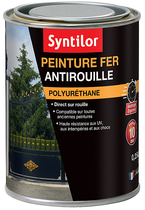 Peinture extérieure fer Syntilor Ultra Protect noir mat 0,25L