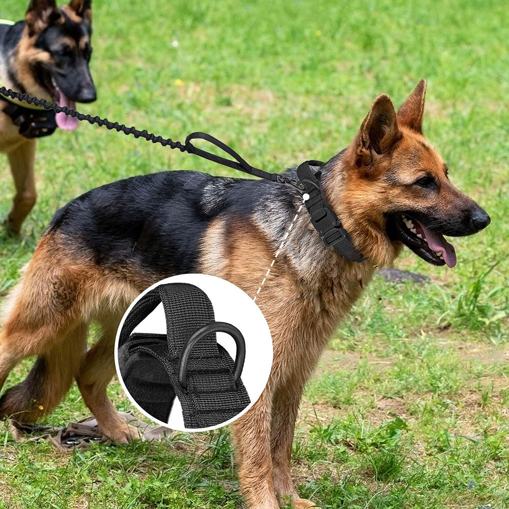 (Gr. L) 40-50cm Taktisches Hunde Halsband Verstellbares Haustier Accessoire mit Kontrollgriff - Schwarz