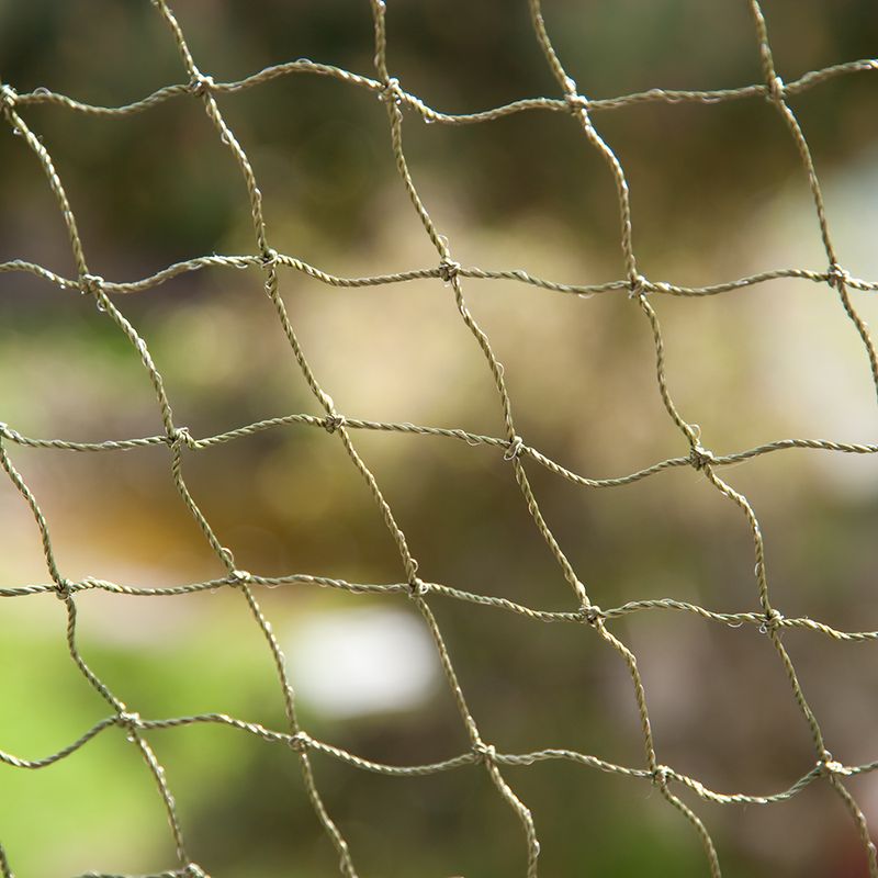 Filet de protection, renfort en fil de fer, 4 x 3 m