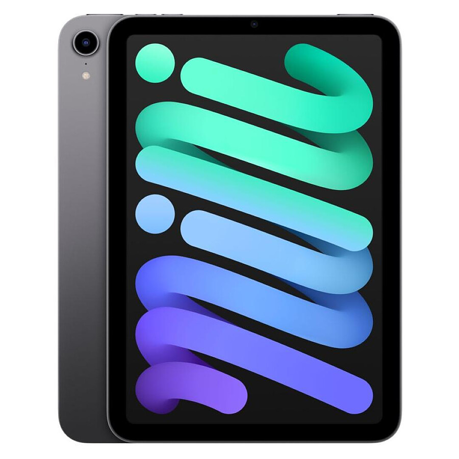 Apple iPad mini (2021) Wi-Fi - 256 Go - Gris sidéral