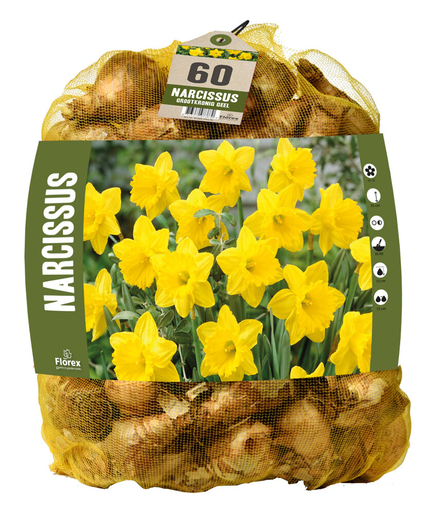 Florex Narcissen Voordeelverpakking  - Bloembollen