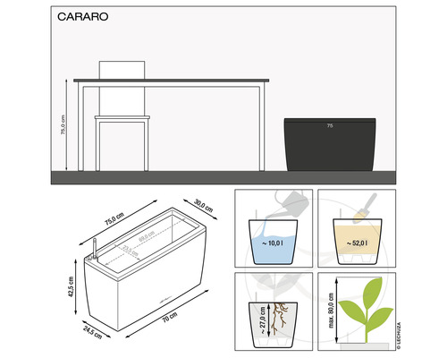 Lechuza Cararo kamerverdeler complete set 75 x 30 x 43 cm antraciet