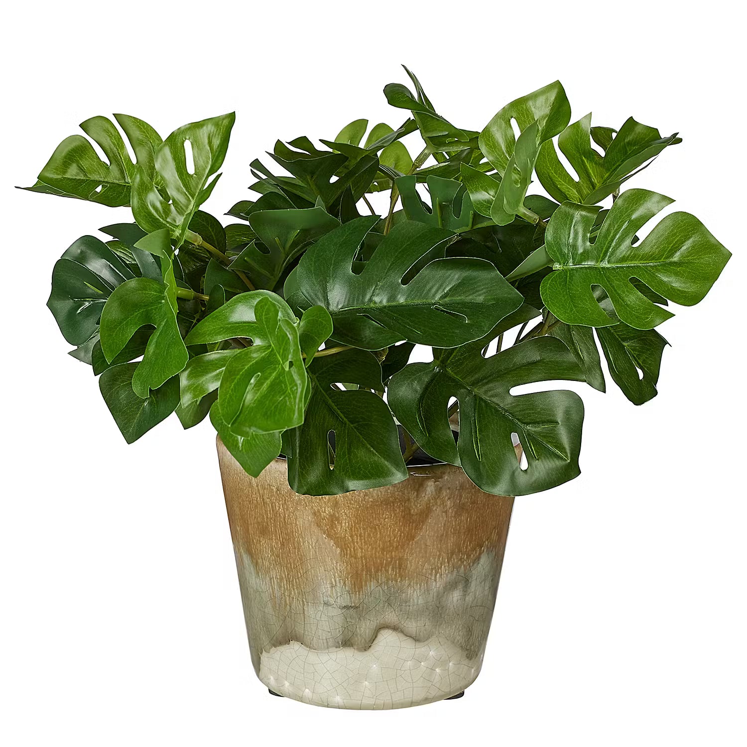 EVERGREEN Blumentopf 6er-Set