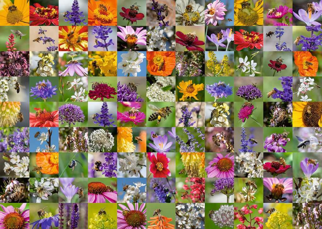 Ravensburger Spiel 99 Bienen