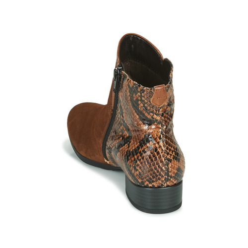 Gabor - 5271235 Camel