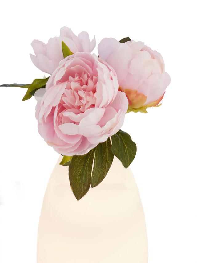 Pfingstrosenarrangement in beleuchteter Vase