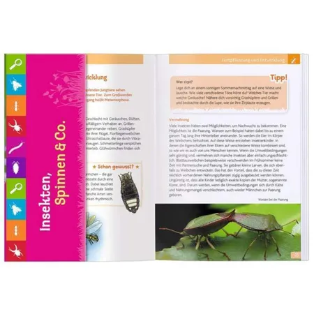 moses. Expedition Natur: Insekten, Spinnen & Co.