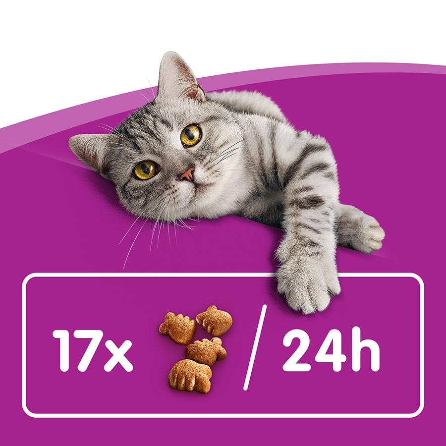Whiskas Dentabites Snacks para Gatos