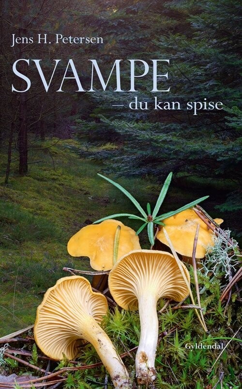 Svampe - Du Kan Spise - Jens H. Petersen - Bog